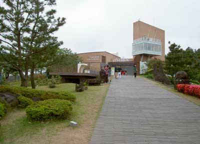 Музей корейского чая «Осоллок»