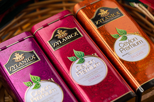 Чай Zylanica Ceylon Premium зеленый  Лесные ягоды 100 гр