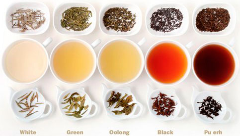 Сорта чая по степени и способу ферментации